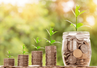 Stack of coins with plant growing on it